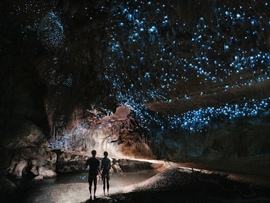 Waitomo Caves Neuseeland, Höhlen Neuseeland, Sehenswürdigkeiten Neuseeland